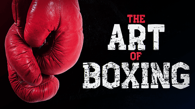 Art of Boxing