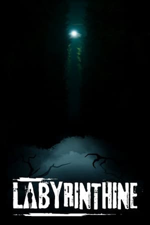Labyrinthine cover art