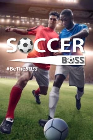 Soccer Boss cover art