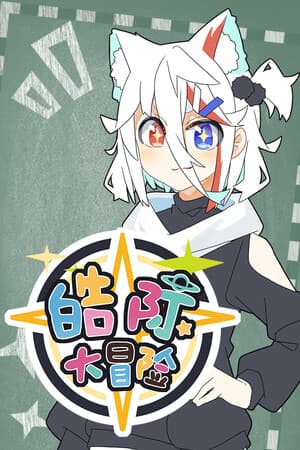 皓际大冒险 cover art
