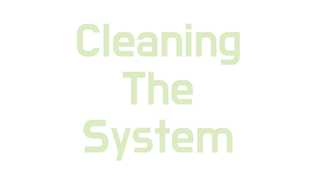 Cleaning The System