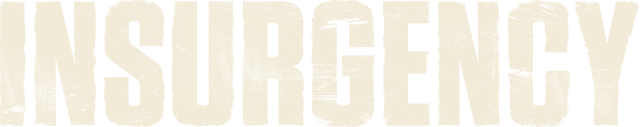Insurgency