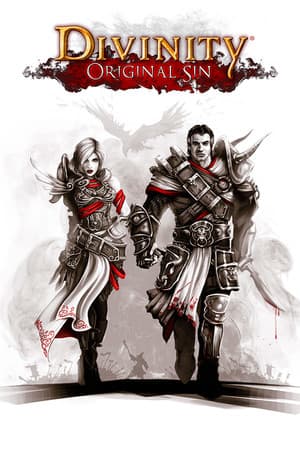 Divinity: Original Sin (Classic) cover art