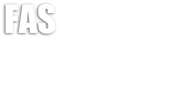 FAS: Fight Action Sandbox