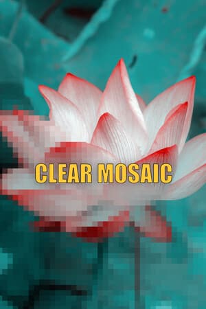 Clear Mosaic cover art