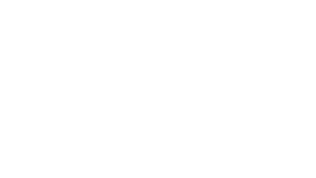 Ducks Can Drive
