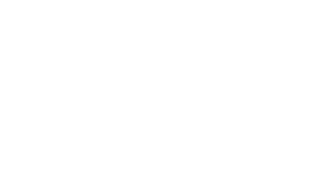 FPV Kamikaze Drone