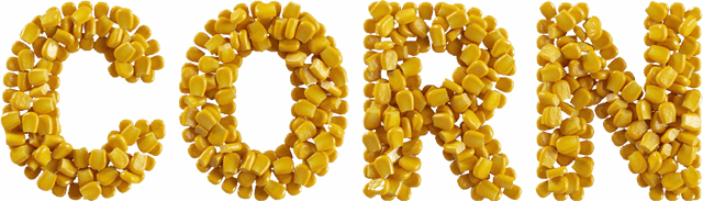 CORN