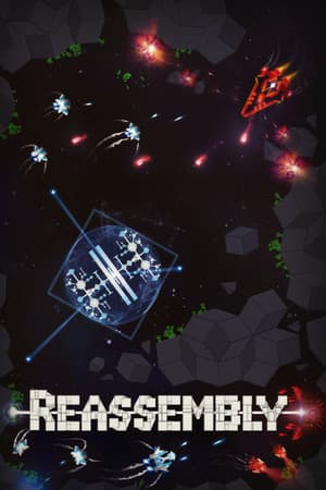 Reassembly cover art