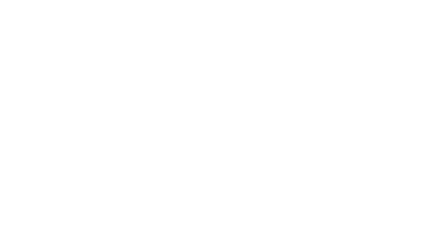中国足球模拟器 (CFS)