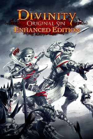 Divinity: Original Sin - Enhanced Edition cover art