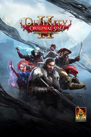 Divinity: Original Sin 2 - Definitive Edition cover art