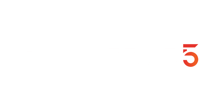 MechWarrior 5: Mercenaries