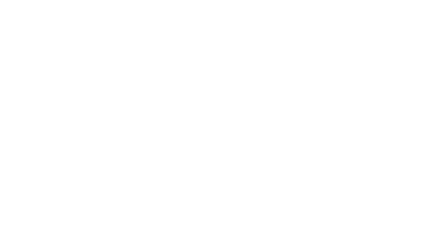 Verlet Swing