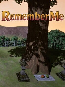 Remember Me cover art