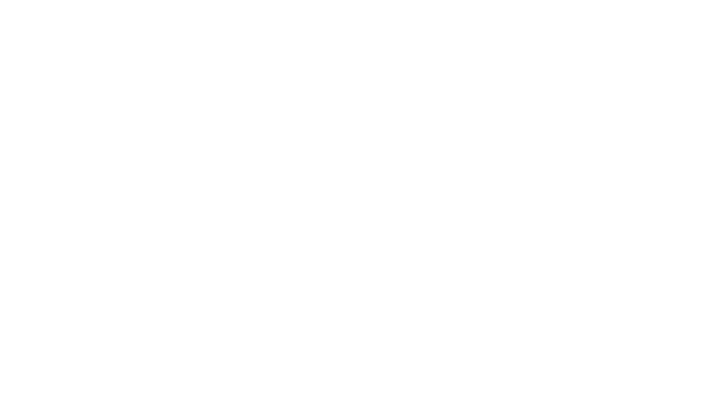 Lost Skies